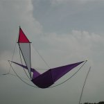 Kamen KITE 2003 - Uwe Gryzbeck