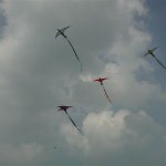 Kamen KITE 2003 - Uwe Gryzbeck