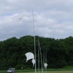 Kamen KITE 2008 - Kite Team Skycolours