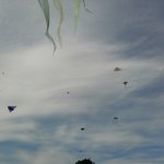 Kamen KITE 2010 - Kite Team Skycolours