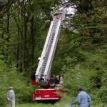 Drachen Rettung