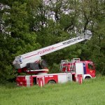 Drachen Rettung