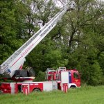 Drachen Rettung